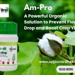 Am-Pro: A Powerful Organic Solution to Prevent Flower Drop and Boost Crop Yield
